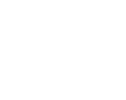 plane_w