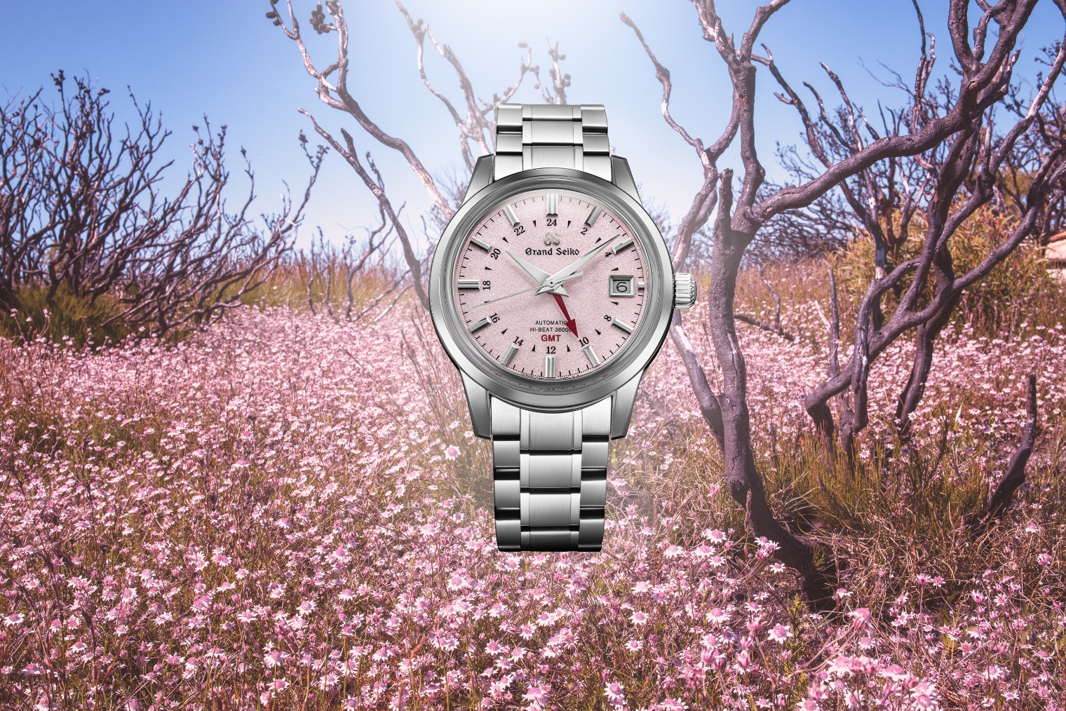Seiko forest conservation initiatives around the world
