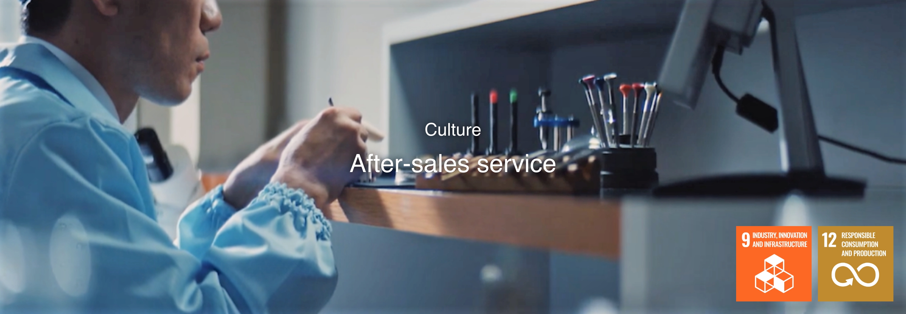 Cultuur After sales service