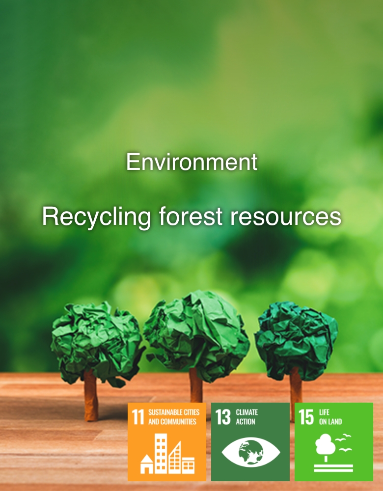 Environment Recycling forest resources