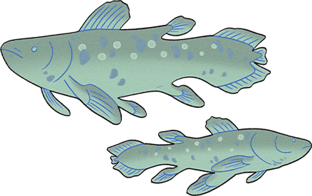 Coelacanthiformes