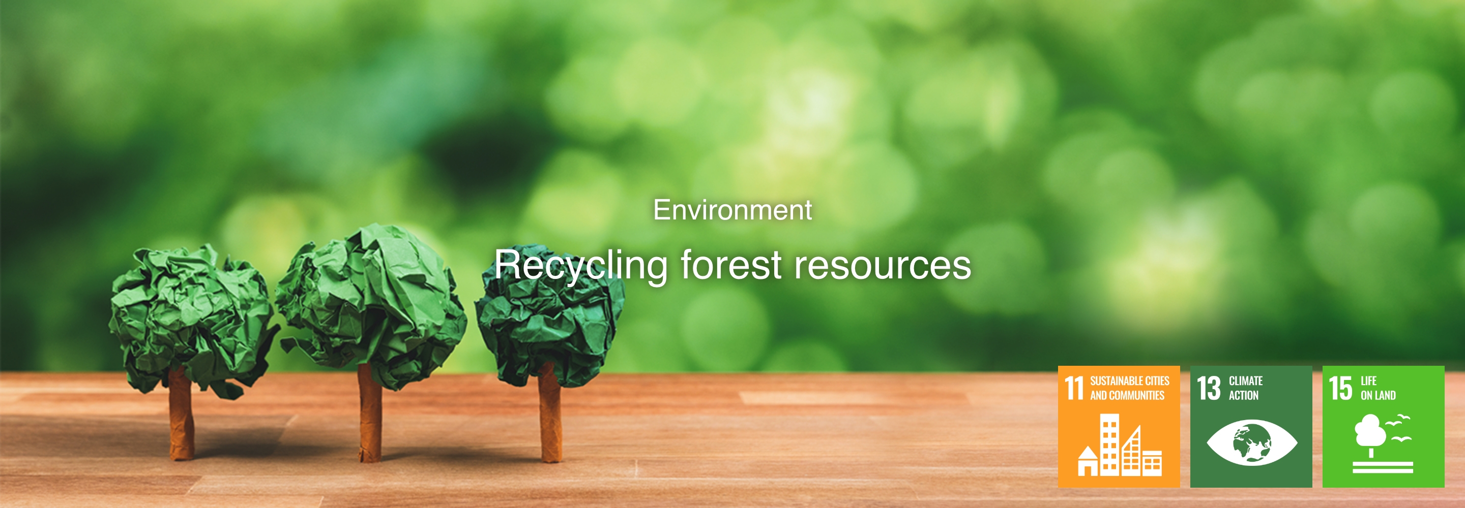 Environment Recycling forest resources