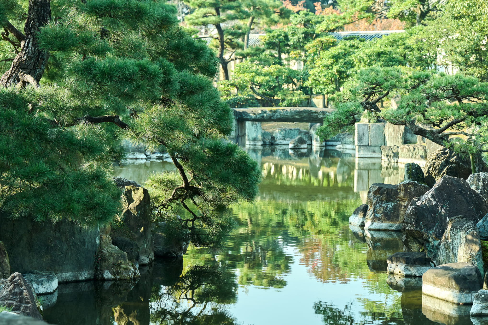 写真：元離宮二条城