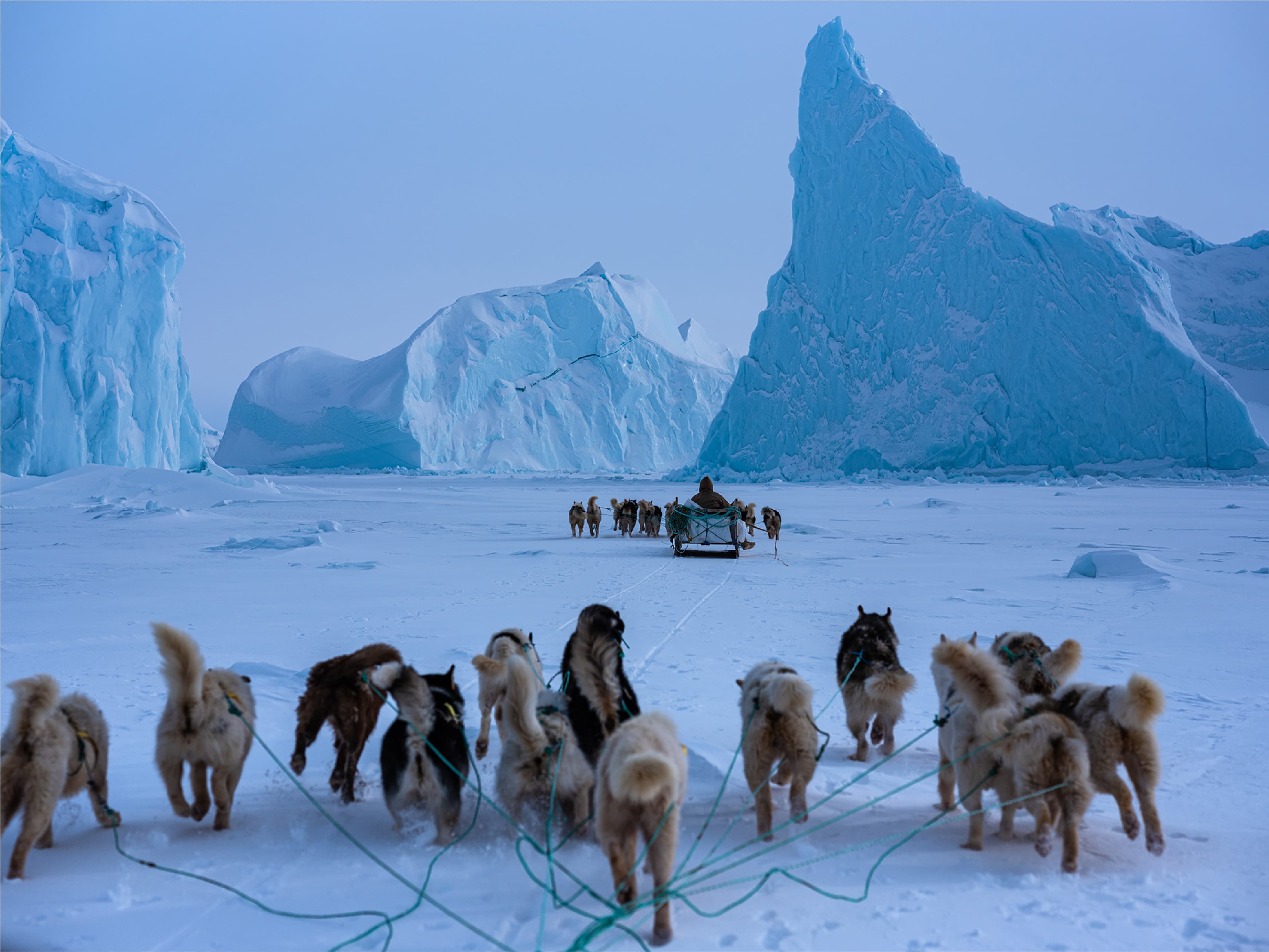 「原始的な生活を続ける現地民と犬ぞりに乗ってたくさんの旅をさせてもらった。狩猟のため何日も海氷を移動したり、氷床を超える旅行に出かけたり。そうして過ごした時間の記憶は、僕にとってかけがえのない財産だ。」（遠藤）